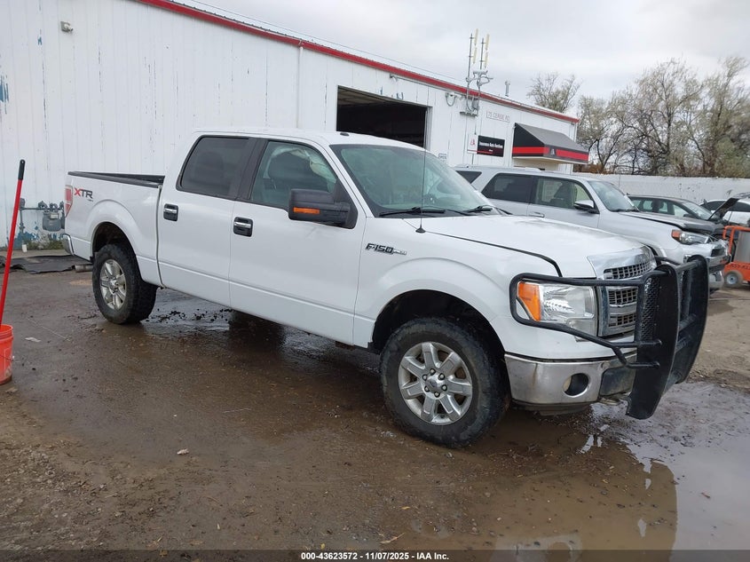 2014 FORD F-150 XLT - 1FTFW1EF3EFB04899