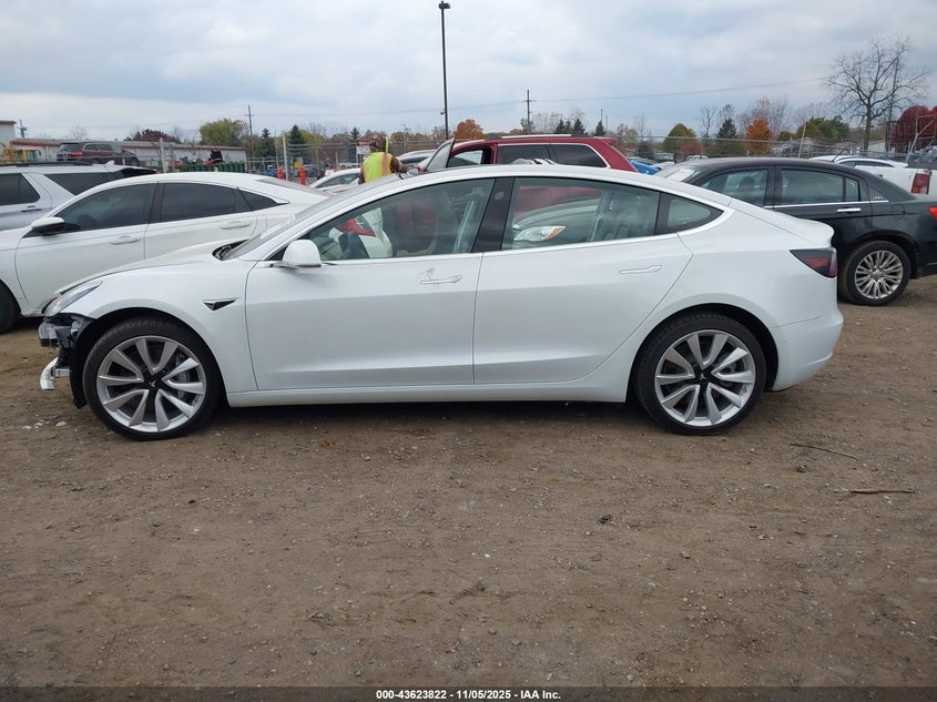2020 Tesla Model 3 Long Range Dual Motor All-Wheel Drive VIN: 5YJ3E1EBXLF795563 Lot: 43623822