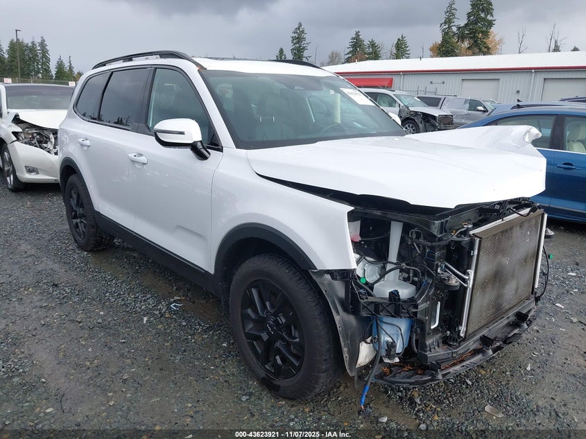 2024 KIA TELLURIDE SX PRESTIGE X-PRO - 5XYP5DGC2RG502829