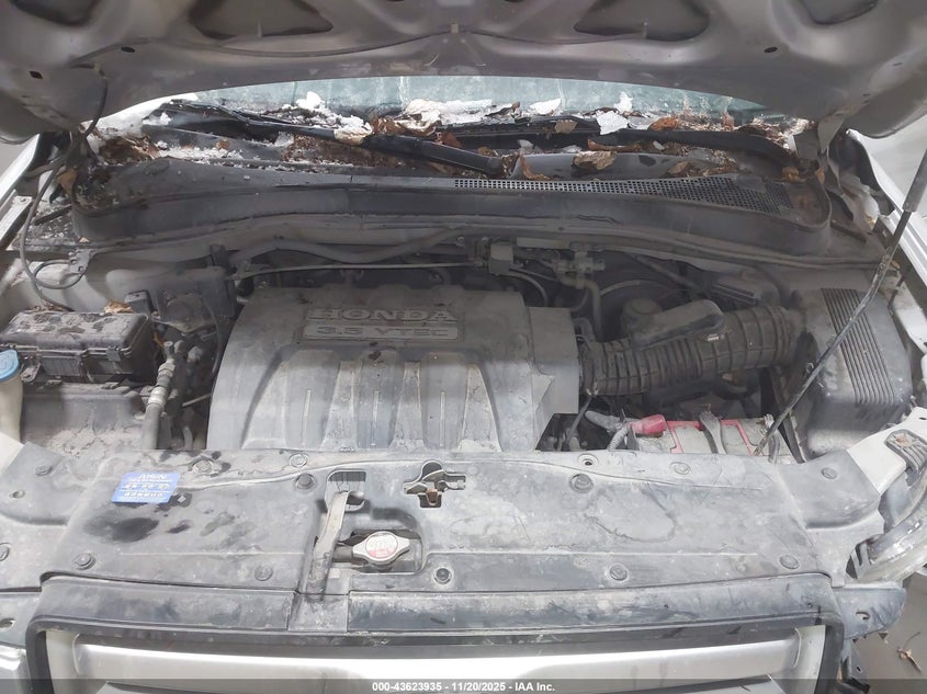 2006 Honda Pilot Ex-L VIN: 2HKYF18736H503171 Lot: 43623935