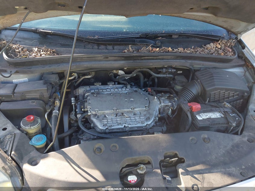 2006 Honda Odyssey Ex-L VIN: 5FNRL38786B073127 Lot: 43624828