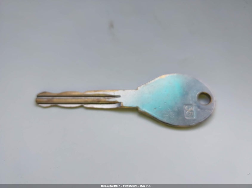 2003 Subaru Forester X VIN: JF1SG63673H718969 Lot: 43624987