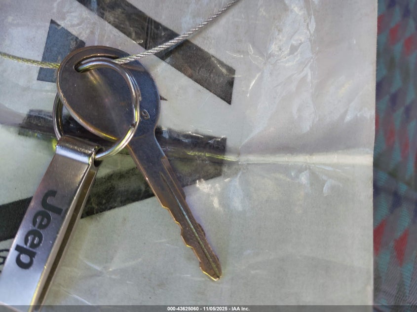 1997 Jeep Wrangler Sahara VIN: 1J4FY49S6VP503720 Lot: 43625060