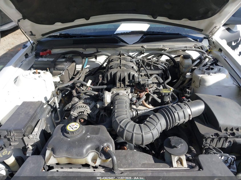 2009 Ford Mustang V6/V6 Premium VIN: 1ZVHT80N395122210 Lot: 43625407