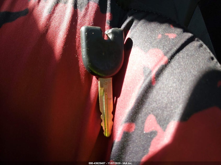 2009 Ford Mustang V6/V6 Premium VIN: 1ZVHT80N395122210 Lot: 43625407