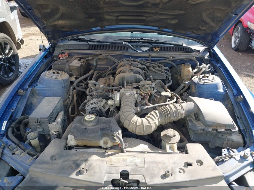 2009 Ford Mustang V6/V6 Premium VIN: 1ZVHT80N995135396 Lot: 43625463