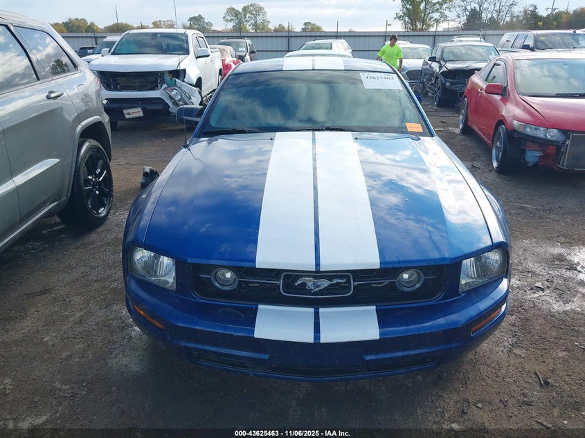 2009 Ford Mustang V6/V6 Premium VIN: 1ZVHT80N995135396 Lot: 43625463