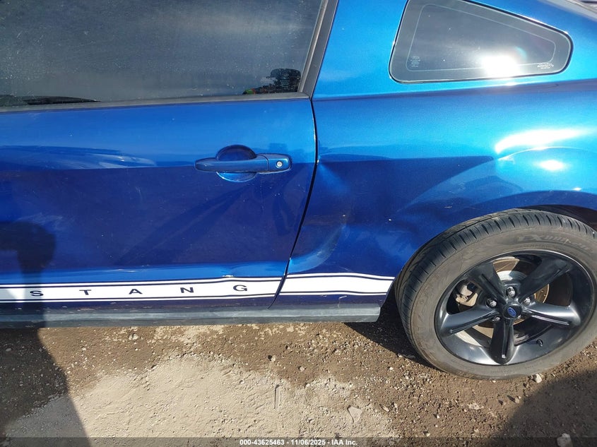 2009 Ford Mustang V6/V6 Premium VIN: 1ZVHT80N995135396 Lot: 43625463