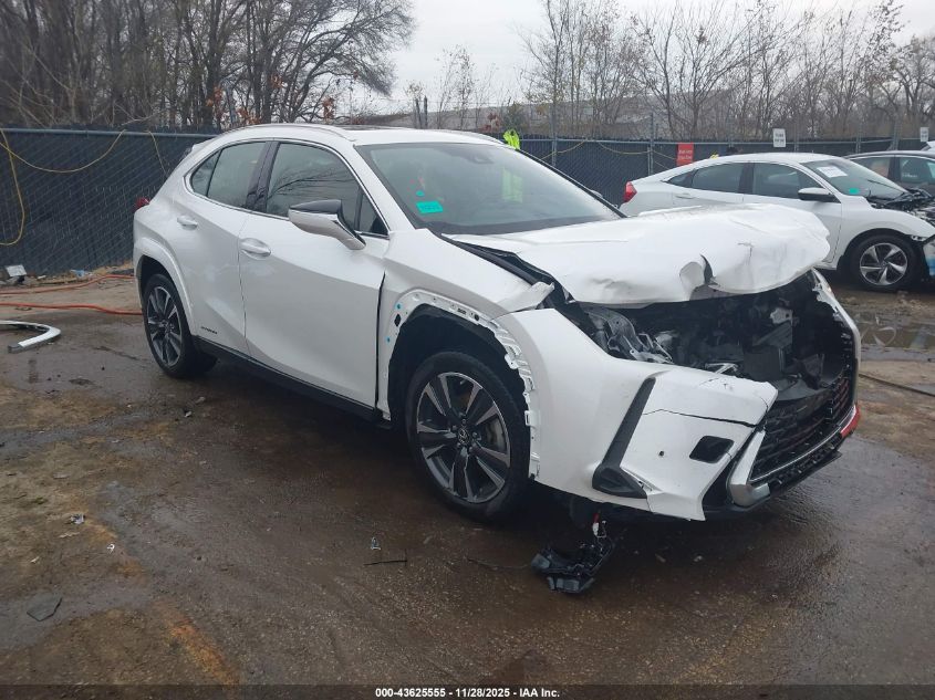 LEXUS UX 250H