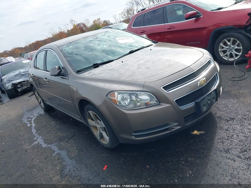 CHEVROLET MALIBU 1LT