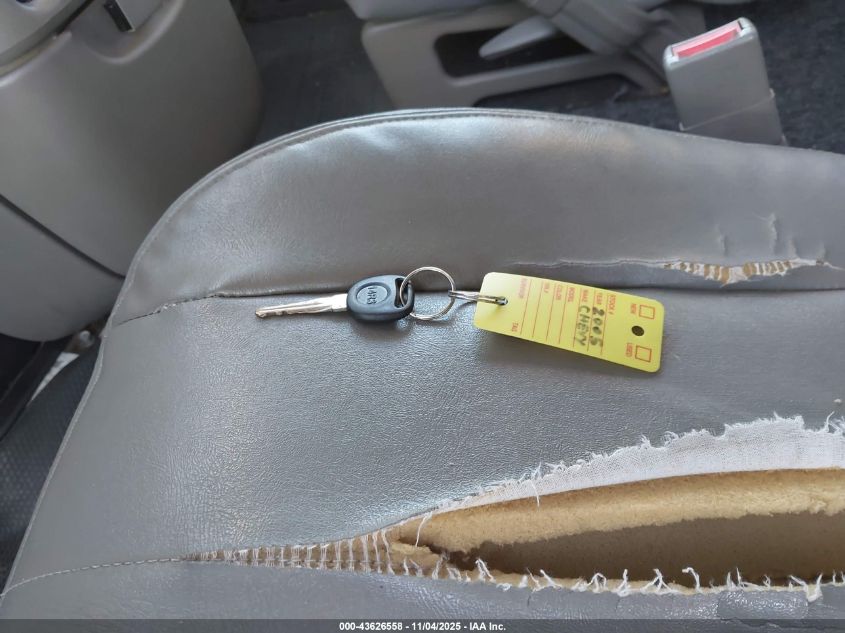 2005 Chevrolet Astro VIN: 1GCDM19X35B134203 Lot: 43626558