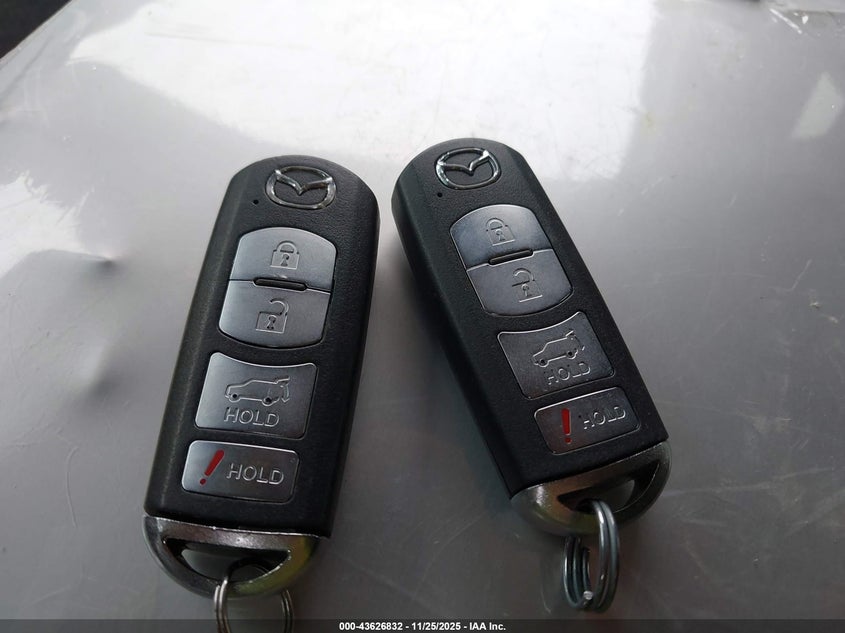 2010 Mazda Cx-9 Touring VIN: JM3TB2MA8A0226057 Lot: 43626832