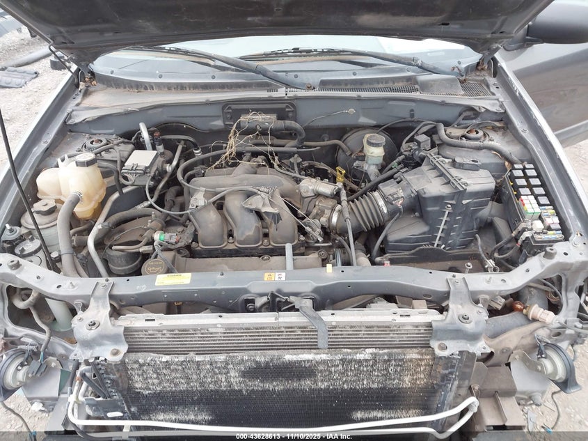 2003 Ford Escape Xlt VIN: 1FMYU93113KB12813 Lot: 43628613