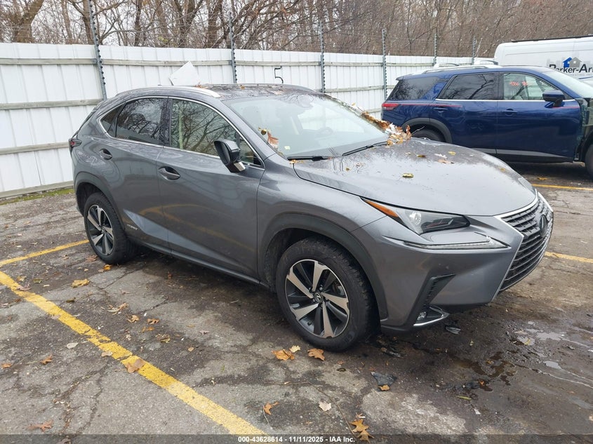 LEXUS NX 300H NX 300H