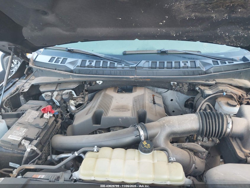 2020 Ford F-150 Platinum VIN: 1FTEW1E47LFC10781 Lot: 43628799