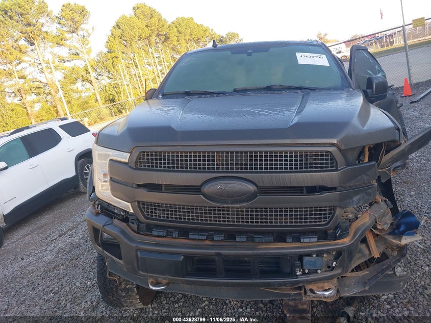2020 Ford F-150 Platinum VIN: 1FTEW1E47LFC10781 Lot: 43628799