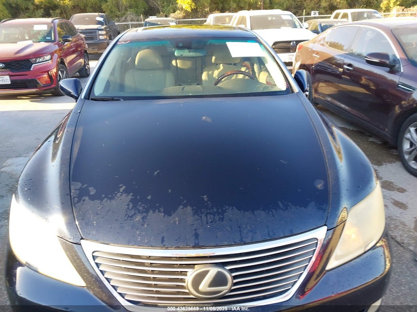 2007 Lexus Ls 460 VIN: JTHBL46F175031143 Lot: 43629669