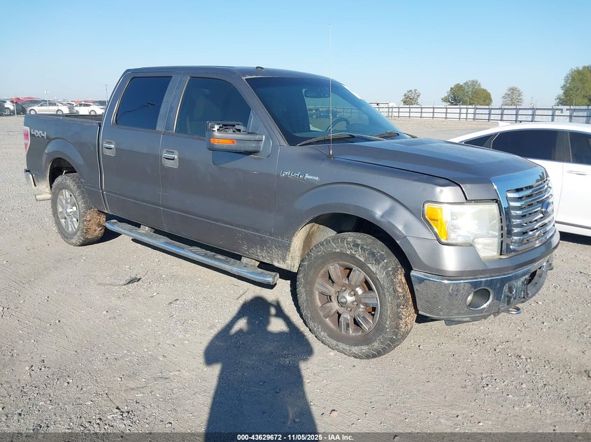 FORD F-150 XLT