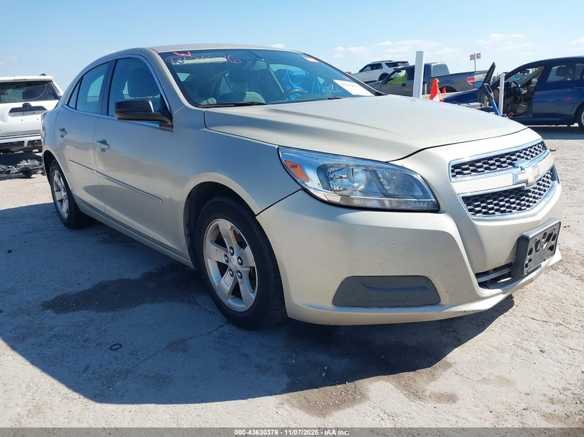 CHEVROLET MALIBU 1FL