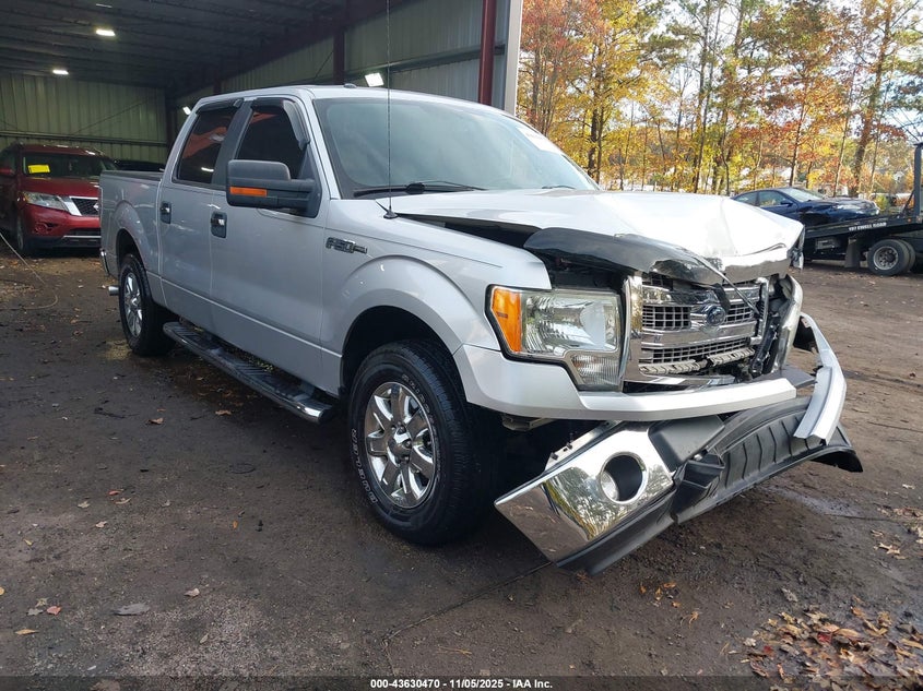 FORD F-150 XLT