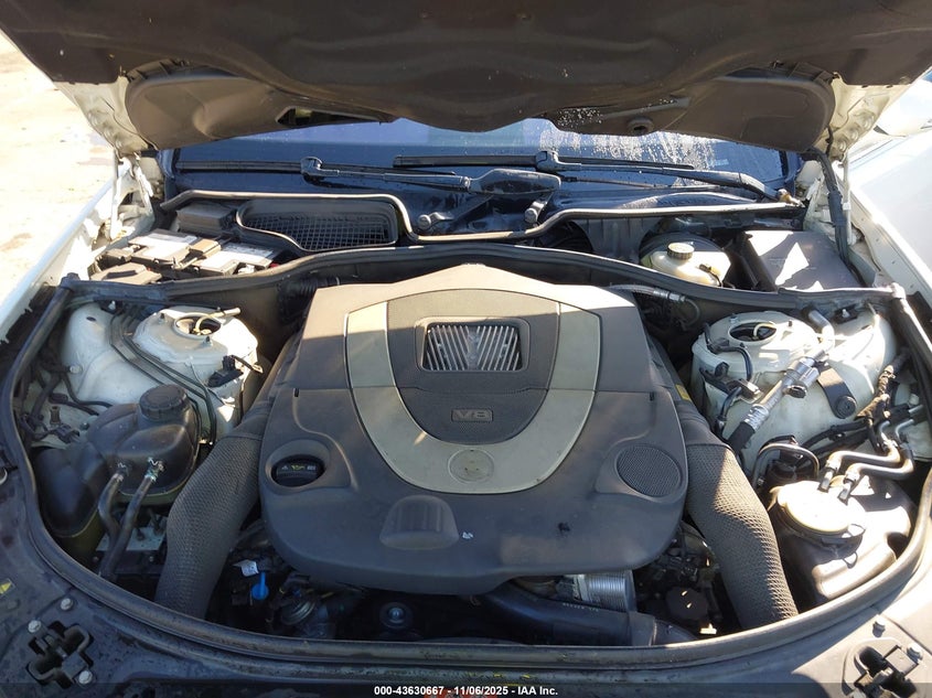 2009 Mercedes-Benz S 550 VIN: WDDNG71XX9A250607 Lot: 43630667