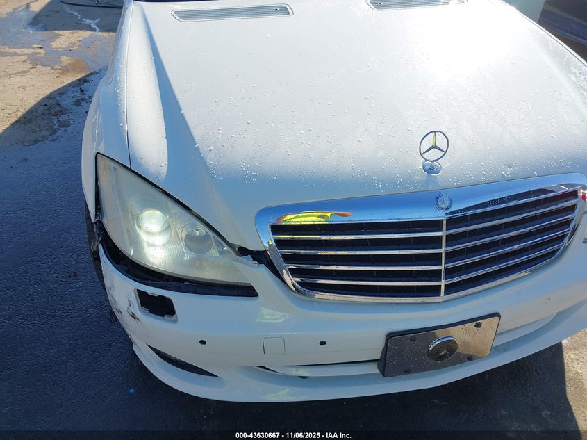 2009 Mercedes-Benz S 550 VIN: WDDNG71XX9A250607 Lot: 43630667