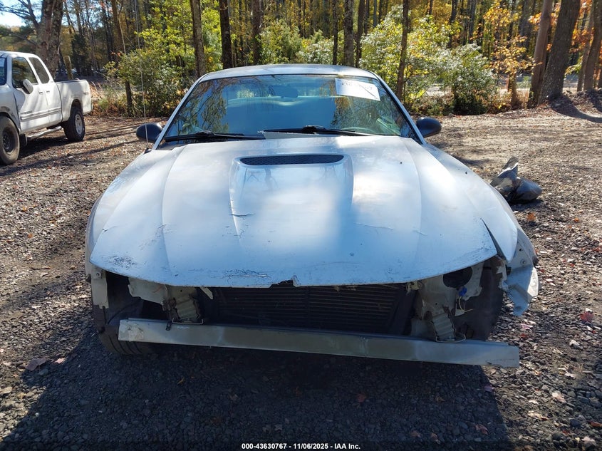 2002 Ford Mustang VIN: 1FAFP40482F192564 Lot: 43630767