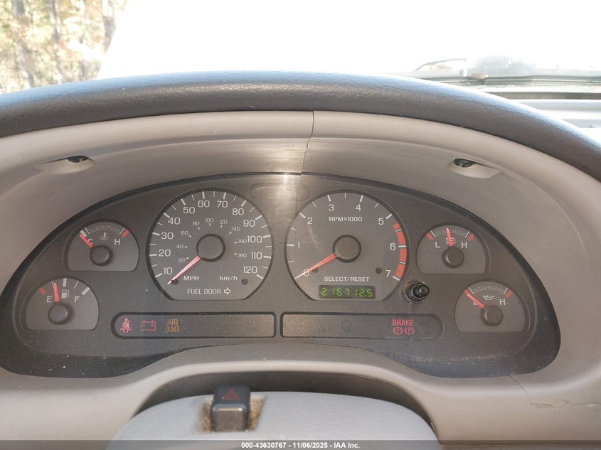 2002 Ford Mustang VIN: 1FAFP40482F192564 Lot: 43630767