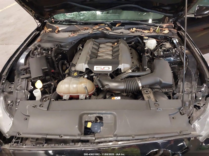 2017 FORD MUSTANG GT - 1FA6P8CF4H5256375