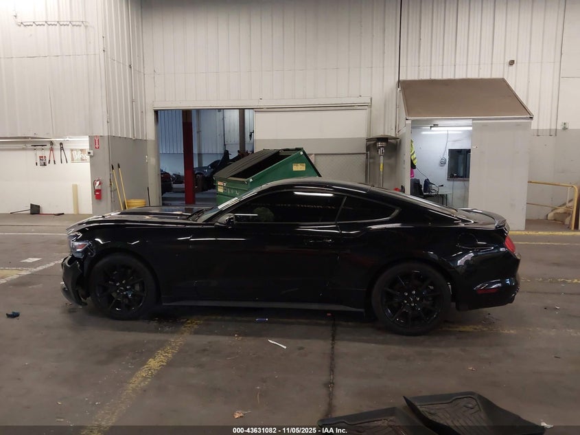 2017 FORD MUSTANG GT - 1FA6P8CF4H5256375