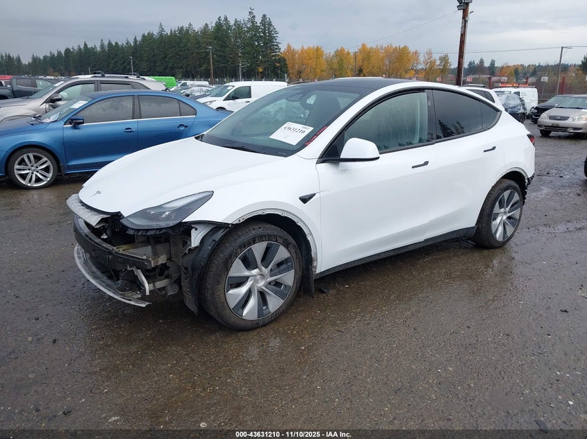 2023 TESLA MODEL Y U   U(VIN: 7SAYGDEE3PF875923