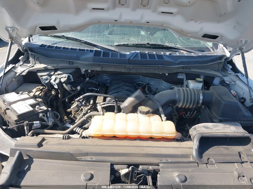 2021 FORD F-150 XL 1FTFW1E53MFD10066