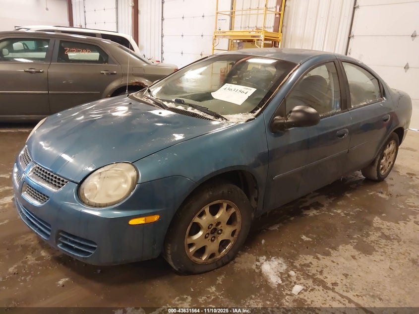 1B3ES56CX3D103276 2003 DODGE NEON photo no. 2