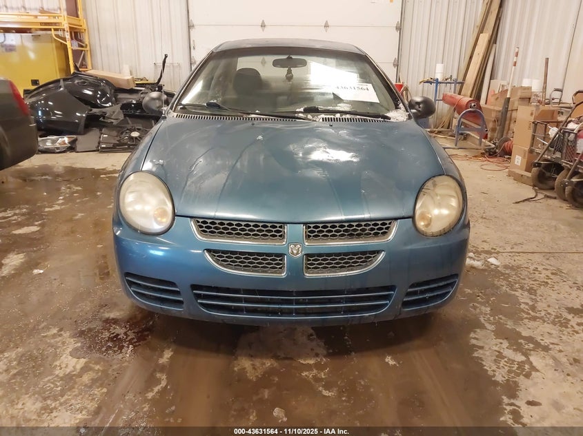 1B3ES56CX3D103276 2003 DODGE NEON photo no. 6