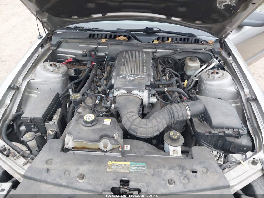 2008 Ford Mustang Gt Deluxe/Gt Premium VIN: 1ZVHT82H185153025 Lot: 43631726