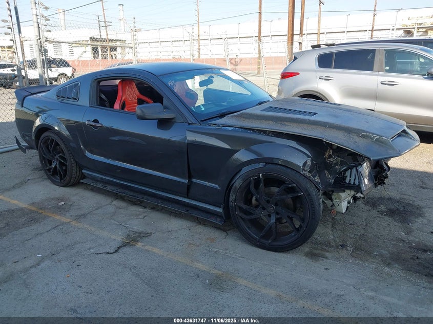 1ZVHT80N485191471 2008 Ford Mustang V6 Deluxe/V6 Premium auction photo 1