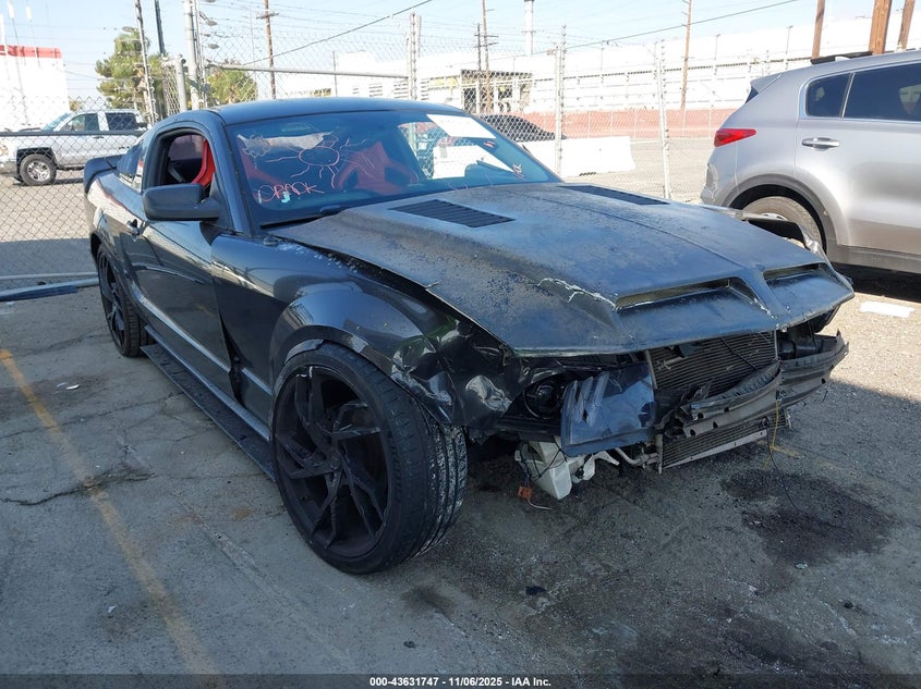 2008 Ford Mustang V6 Deluxe/V6 Premium VIN: 1ZVHT80N485191471 Lot: 43631747