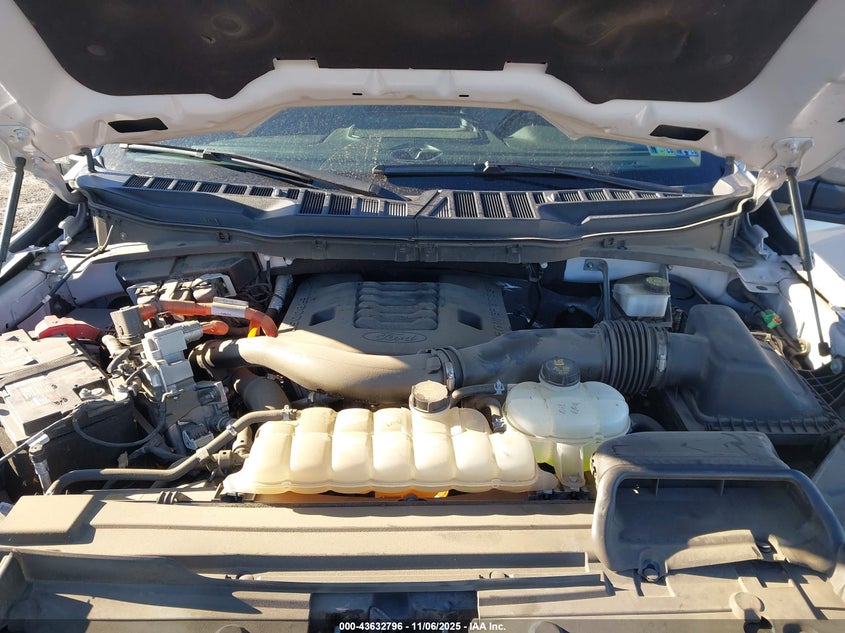 2023 FORD F-150 XLT 1FTFW1ED4PFA85006