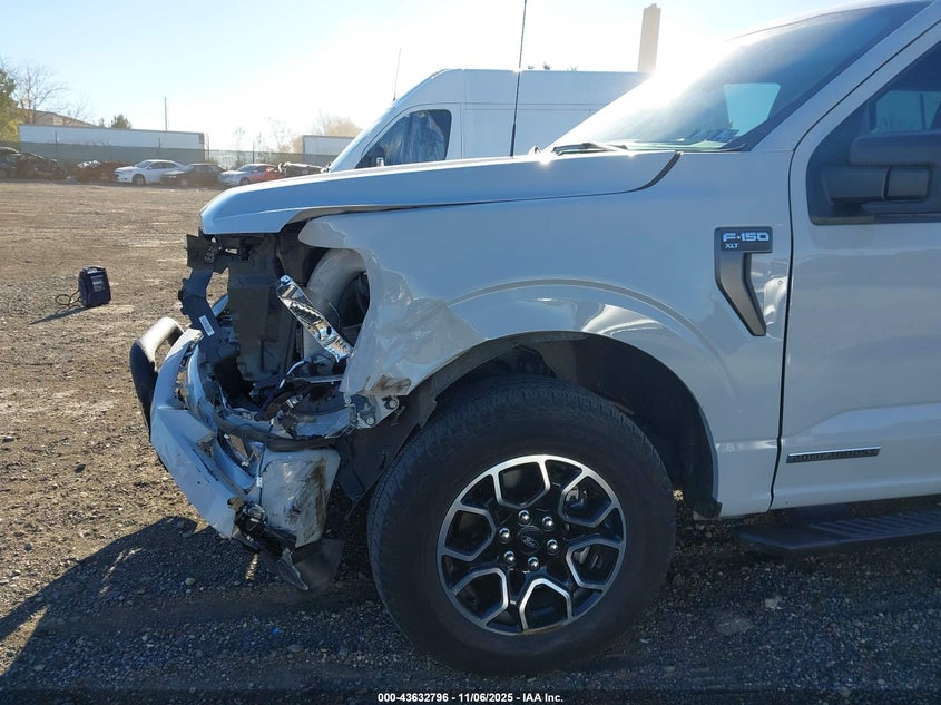 2023 FORD F-150 XLT 1FTFW1ED4PFA85006