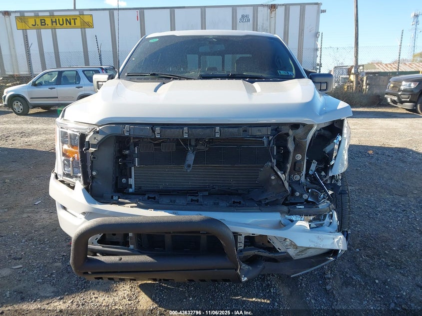 2023 FORD F-150 XLT 1FTFW1ED4PFA85006