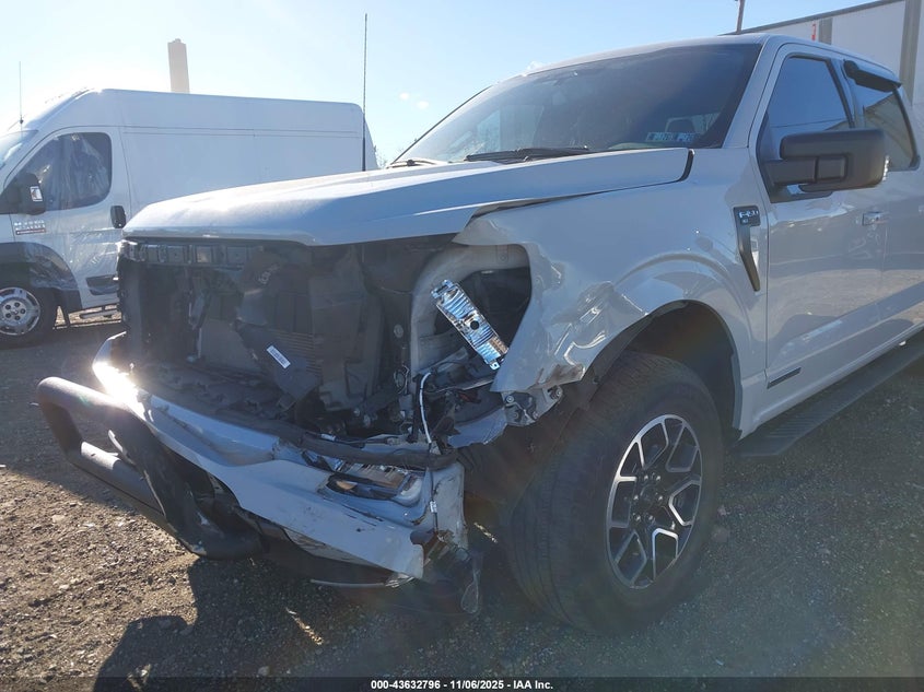 2023 FORD F-150 XLT 1FTFW1ED4PFA85006