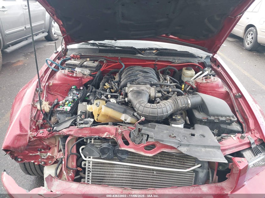 2006 Ford Mustang Gt VIN: 1ZVHT85H365242880 Lot: 43632803