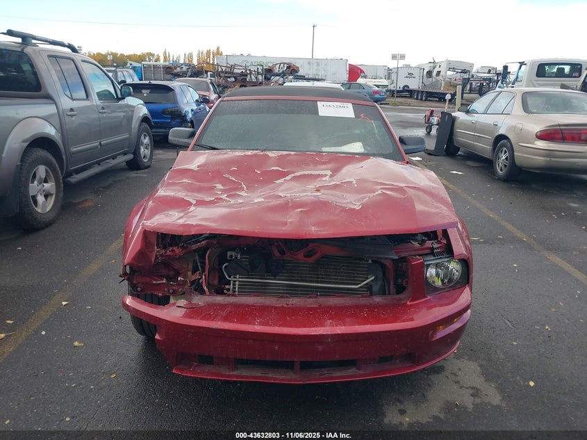 2006 Ford Mustang Gt VIN: 1ZVHT85H365242880 Lot: 43632803
