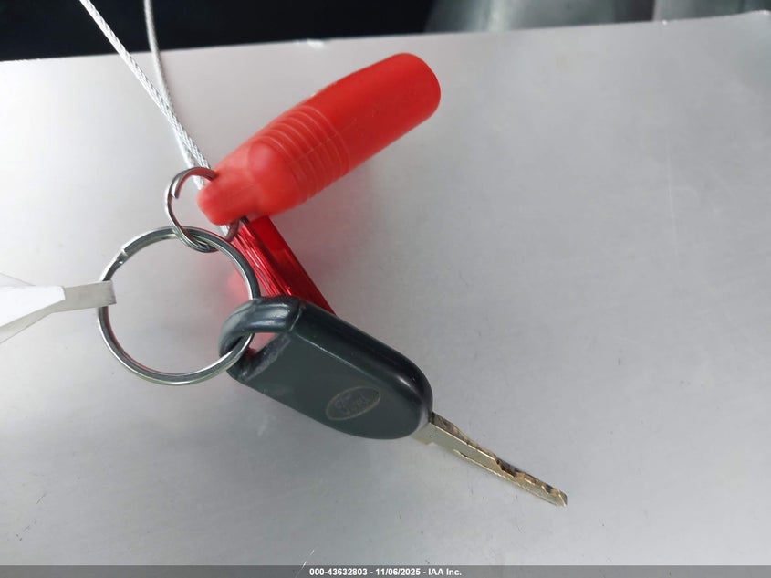 2006 Ford Mustang Gt VIN: 1ZVHT85H365242880 Lot: 43632803