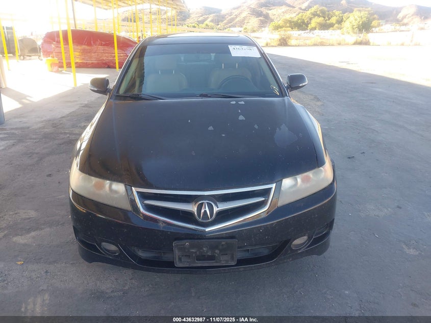 2007 Acura Tsx VIN: JH4CL96867C017172 Lot: 43632987