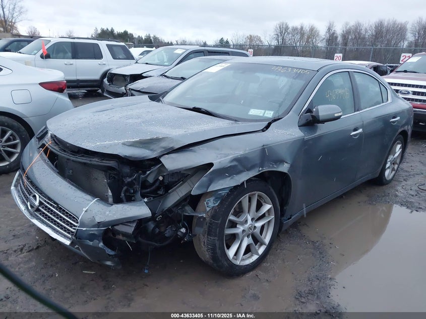 1N4AA5AP2BC818671 2011 NISSAN MAXIMA photo no. 2