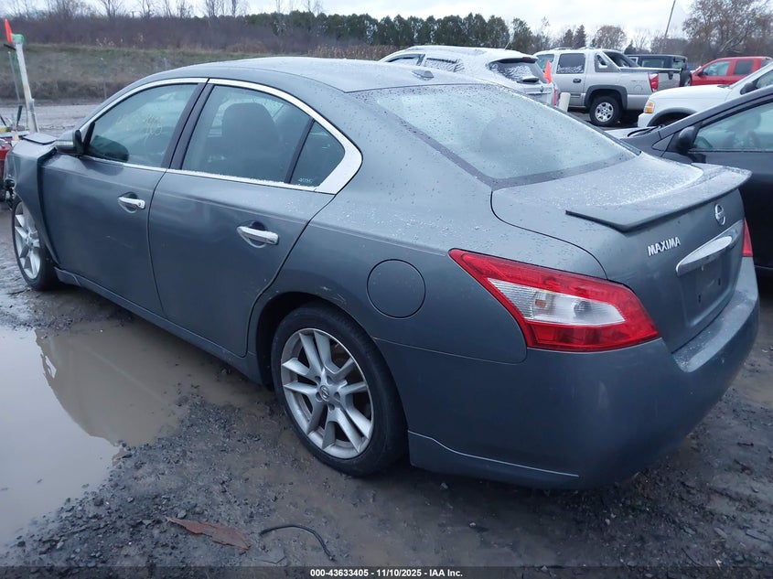 1N4AA5AP2BC818671 2011 NISSAN MAXIMA photo no. 3