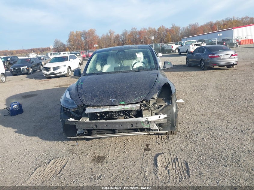 2024 Tesla Model Y Long Range Dual Motor All-Wheel Drive VIN: 7SAYGAEEXRF176838 Lot: 43633490