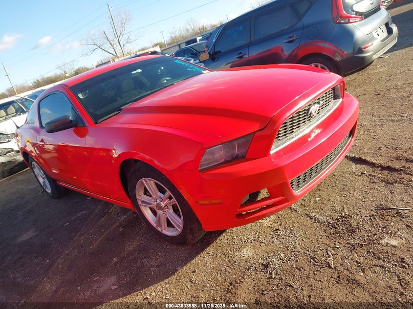 FORD MUSTANG V6