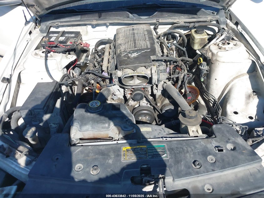 2006 Ford Mustang Gt VIN: 1ZVFT82H665246983 Lot: 43633842